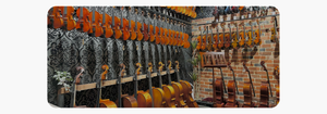 ORCHESTRAL STRING INSTRUMENTS | Perth Music Shop in WA Store Music