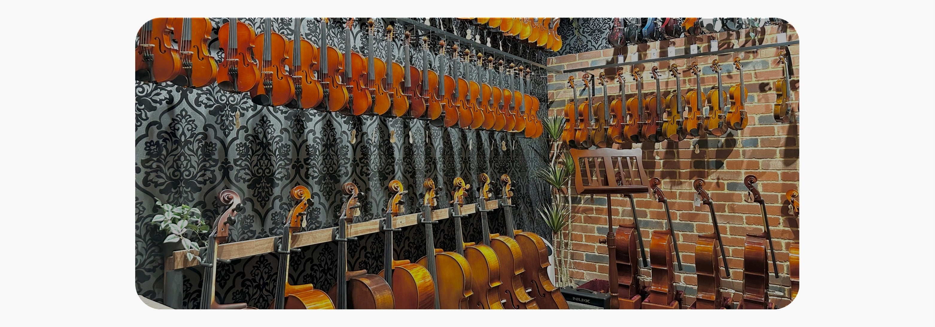 Western Australia's #1 Orchestral String Instruments & Repair Shop