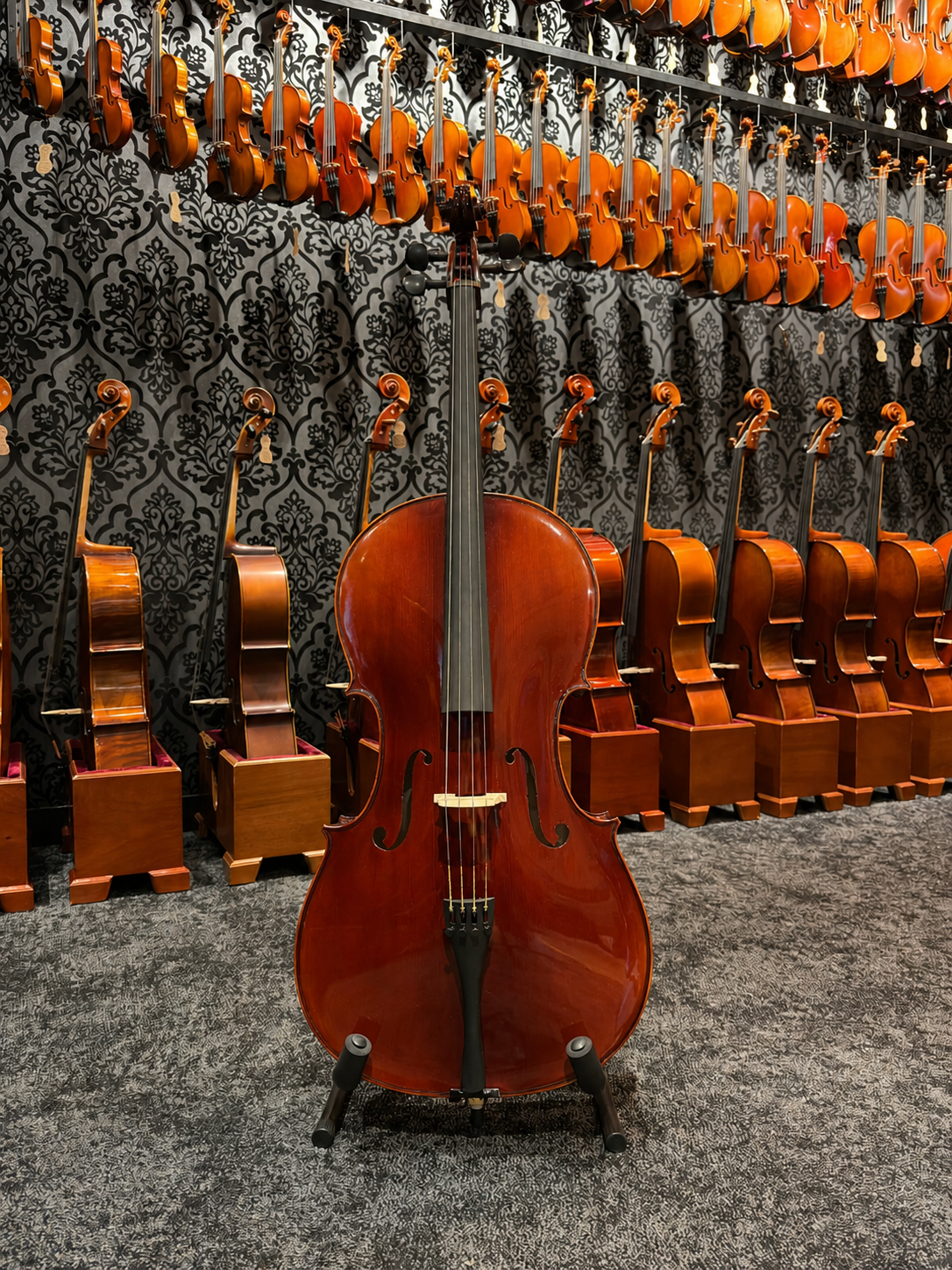 Orchid Instrument String Western Australia's #1 Orchestral String Instruments & Repair Shop
