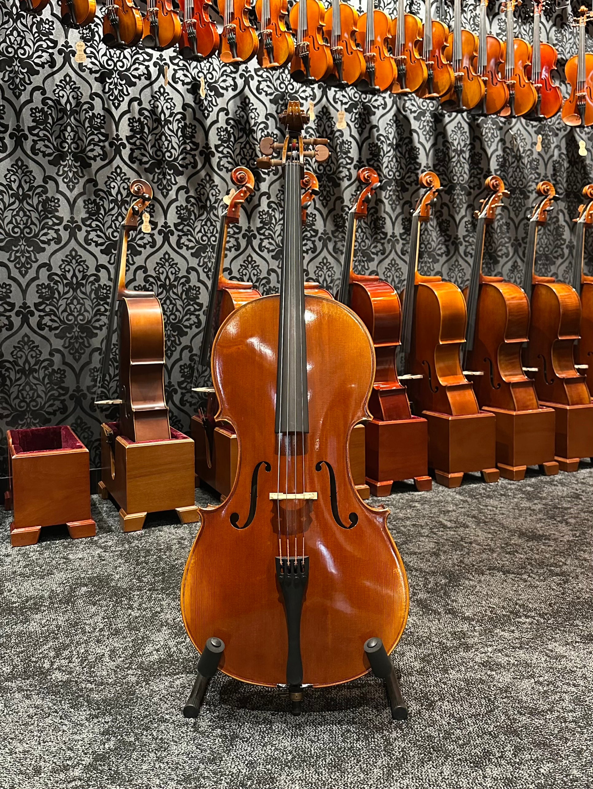 Grazioso II Series by Orion Cello 3/4 Size