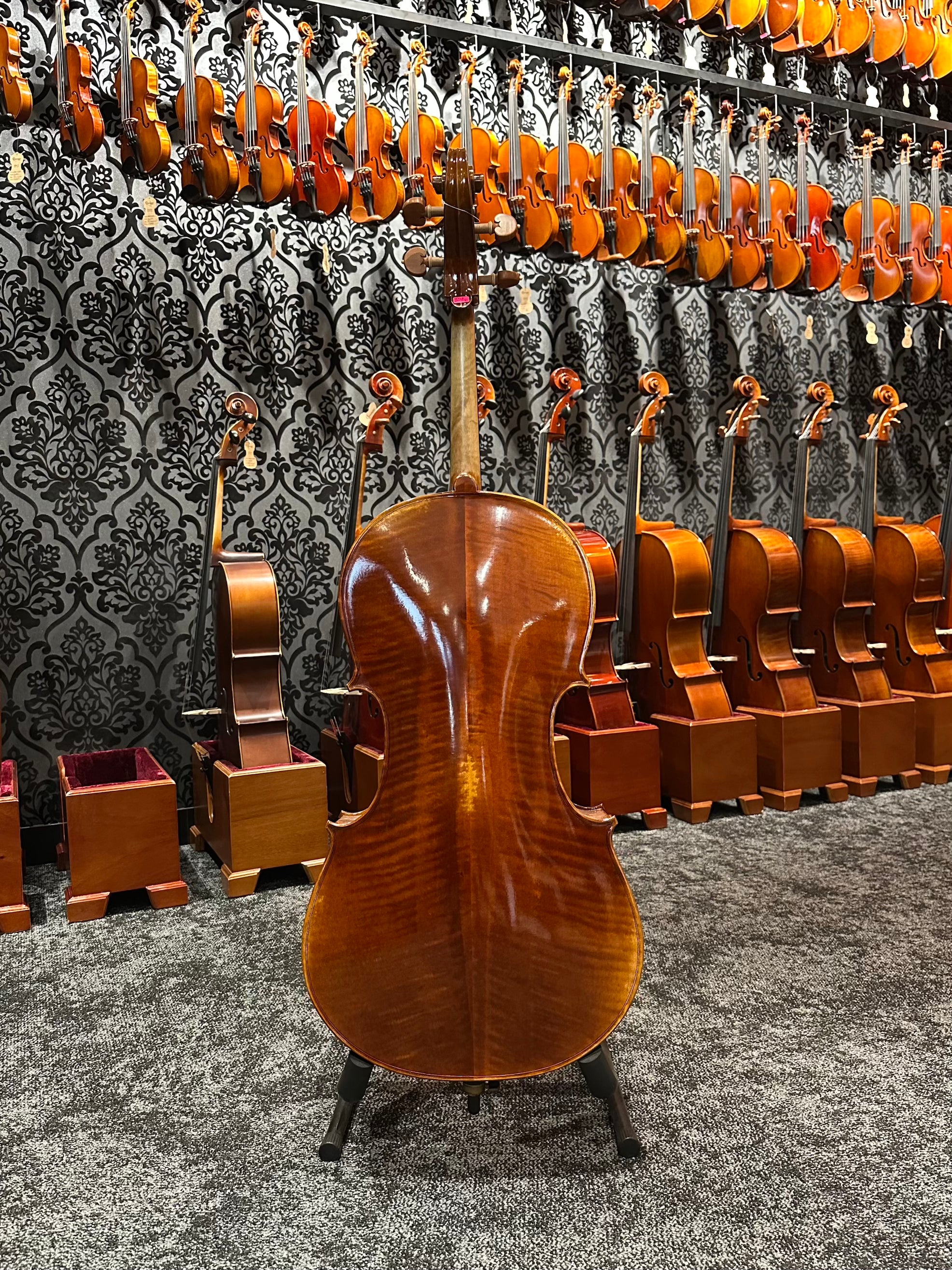 Grazioso II Series by Orion Cello 3/4 Size