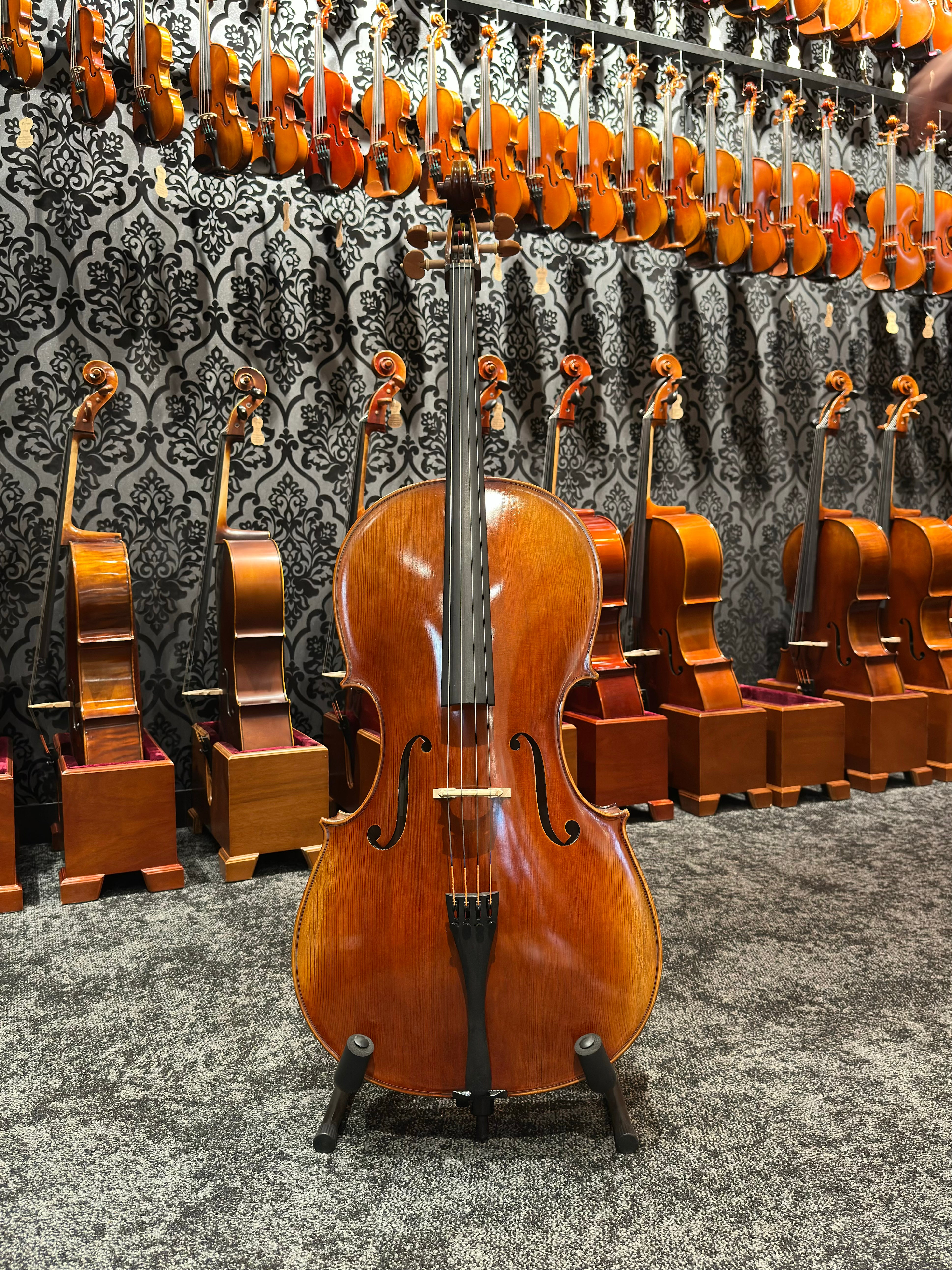 Grazioso II Series by Orion Cello 4/4 Size