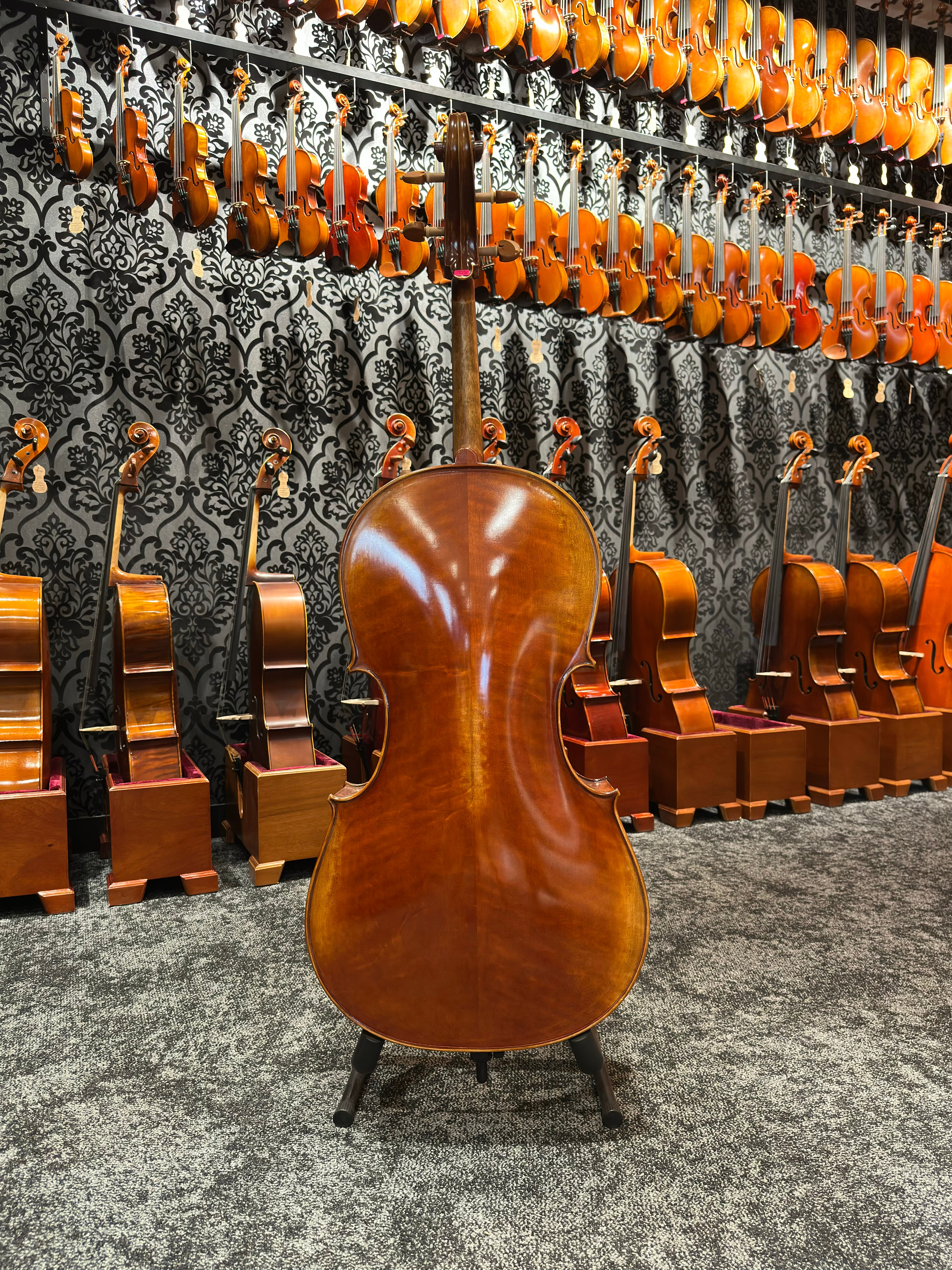 Grazioso II Series by Orion Cello 4/4 Size