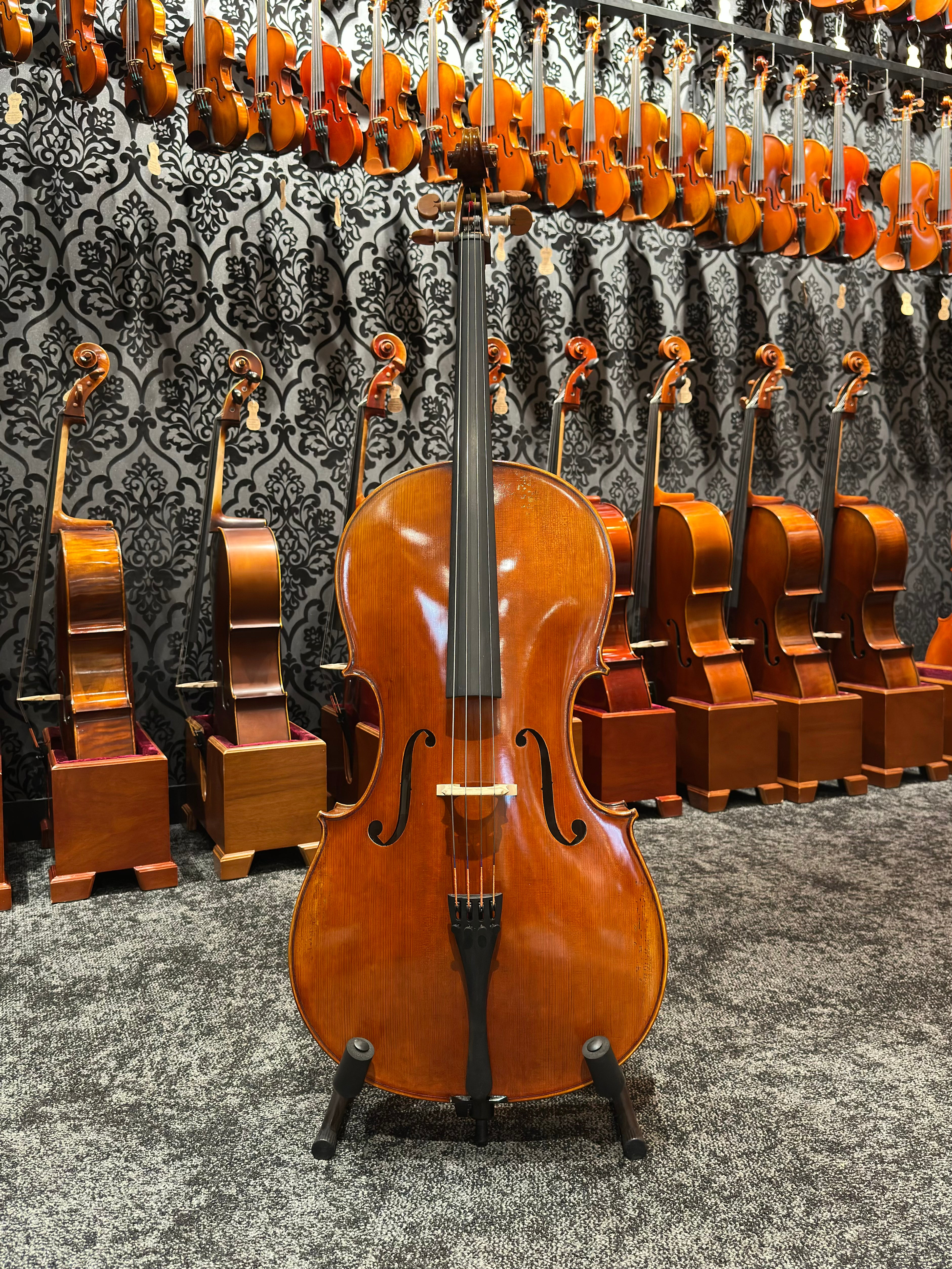 Grazioso II Series by Orion Cello 4/4 Size