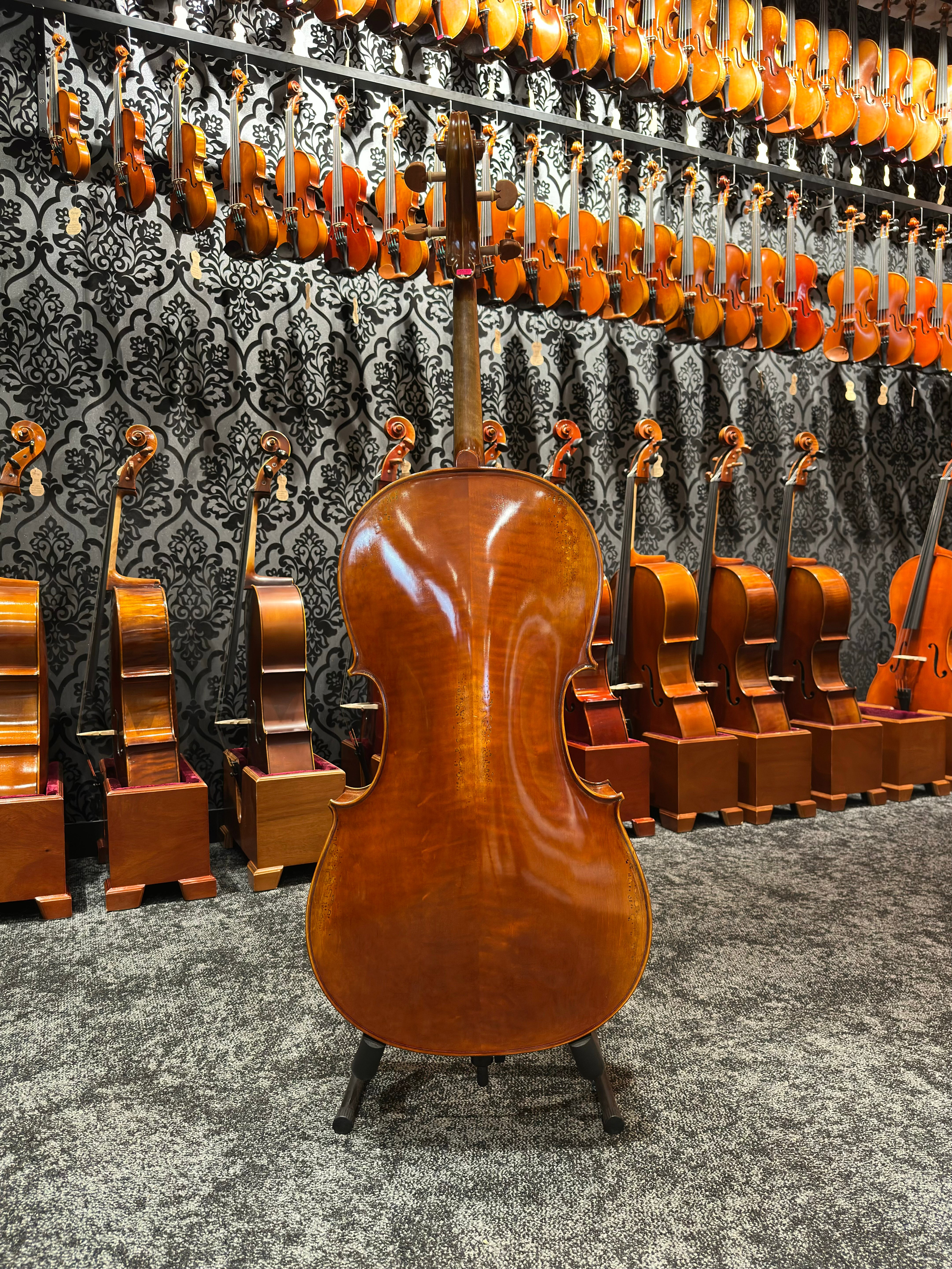Grazioso II Series by Orion Cello 4/4 Size