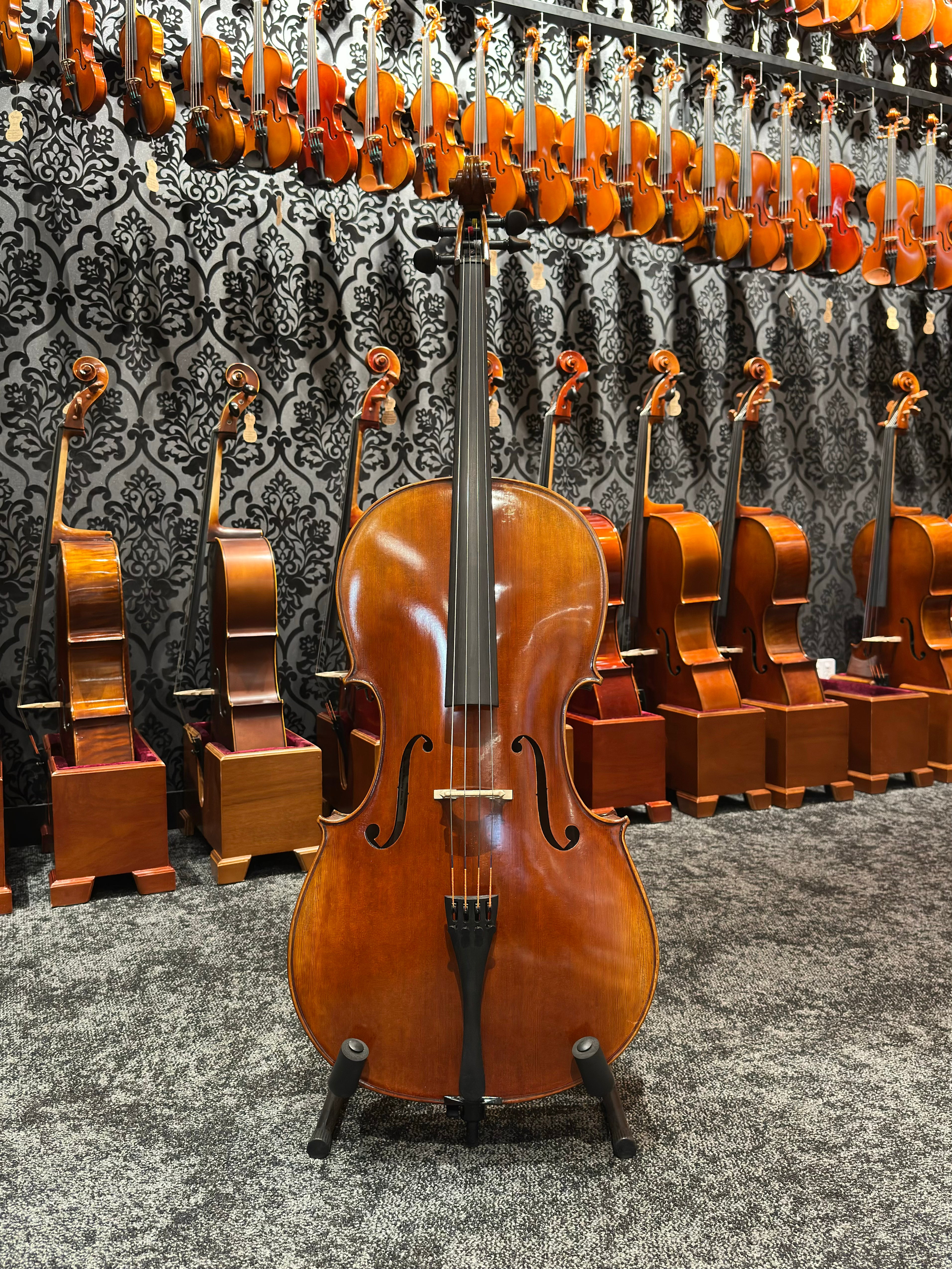 Grazioso II Series by Orion Cello 4/4 Size
