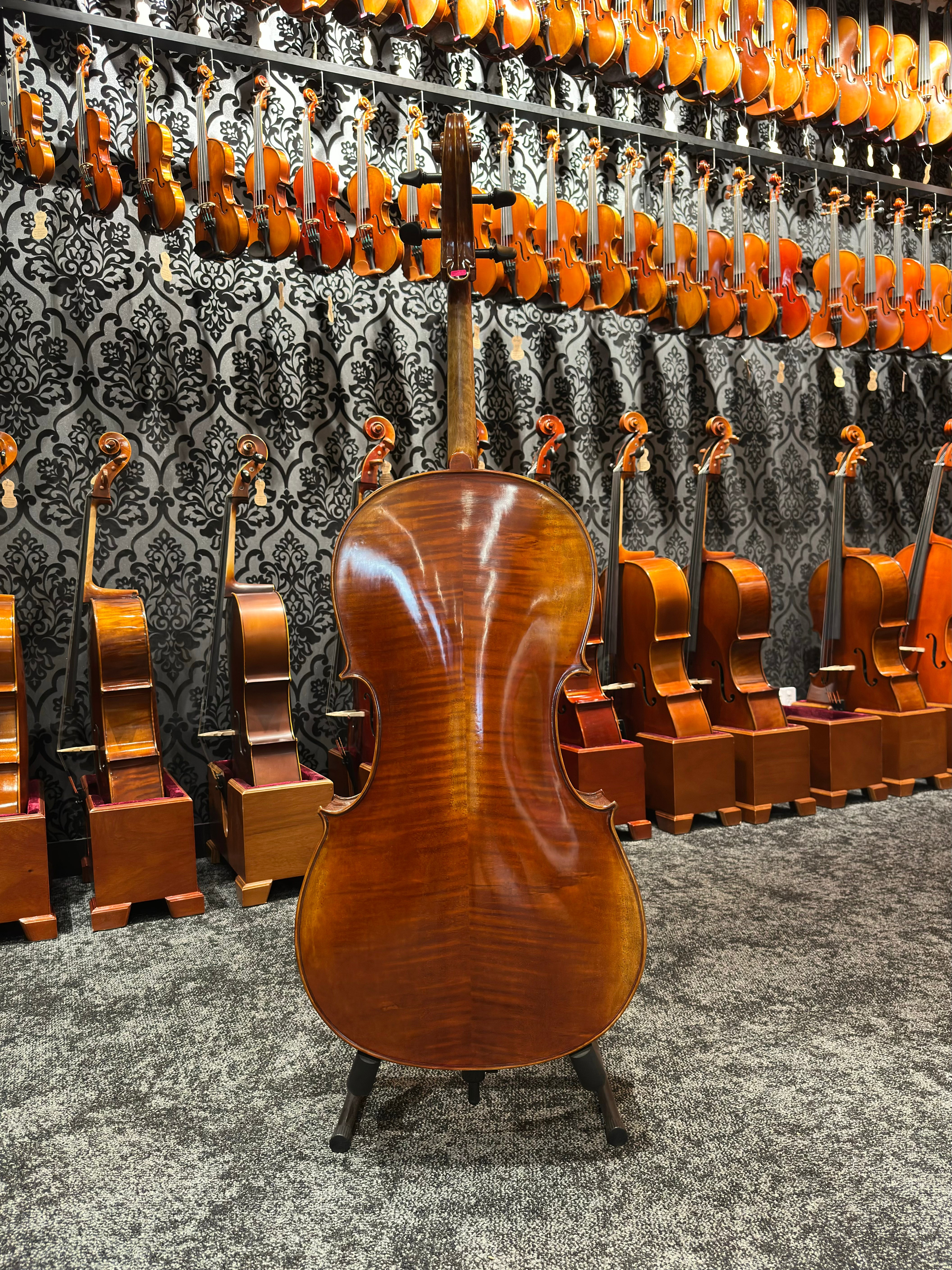 Grazioso II Series by Orion Cello 4/4 Size
