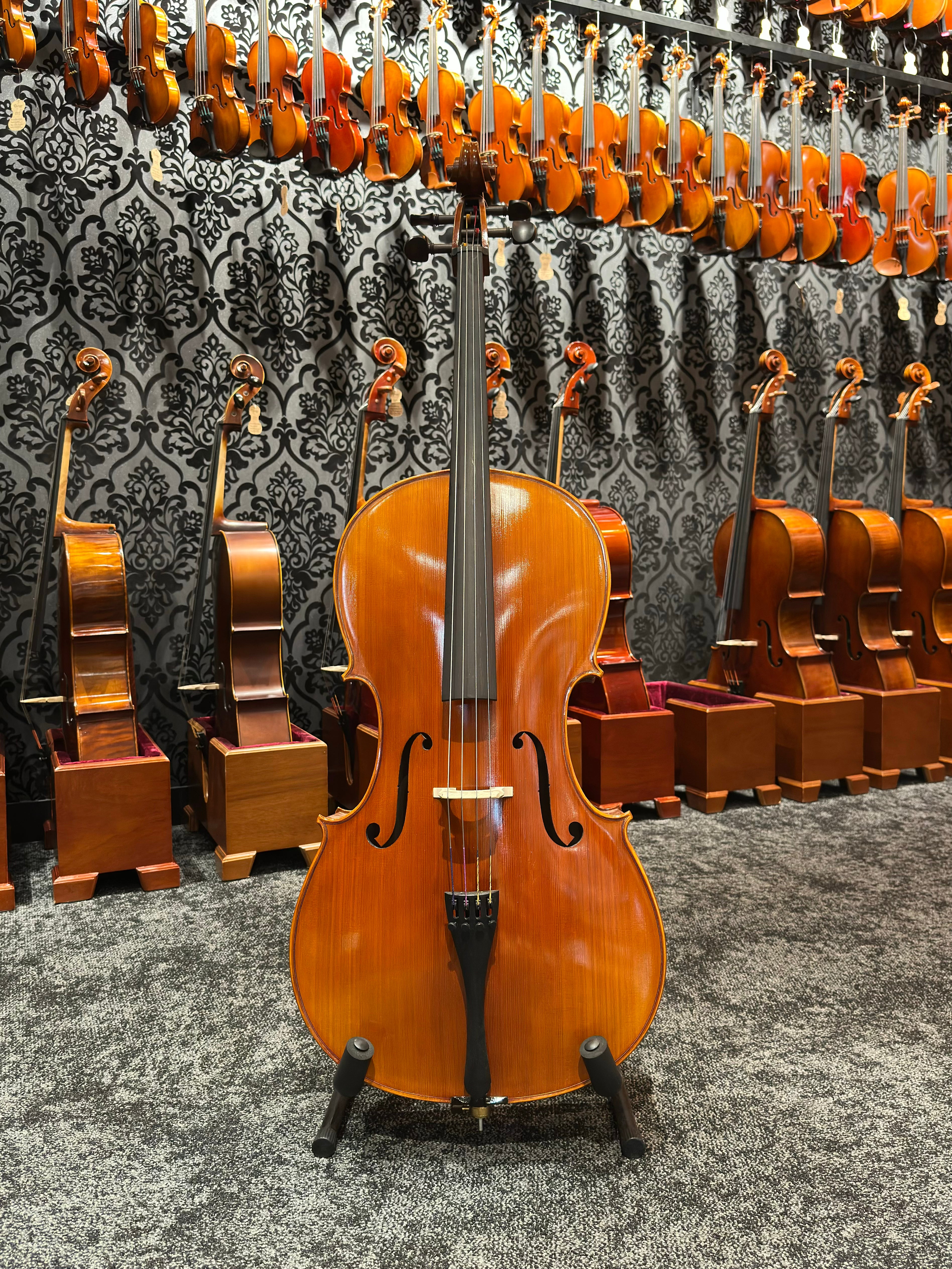Schroeder 30J Student Cello (3 sizes)