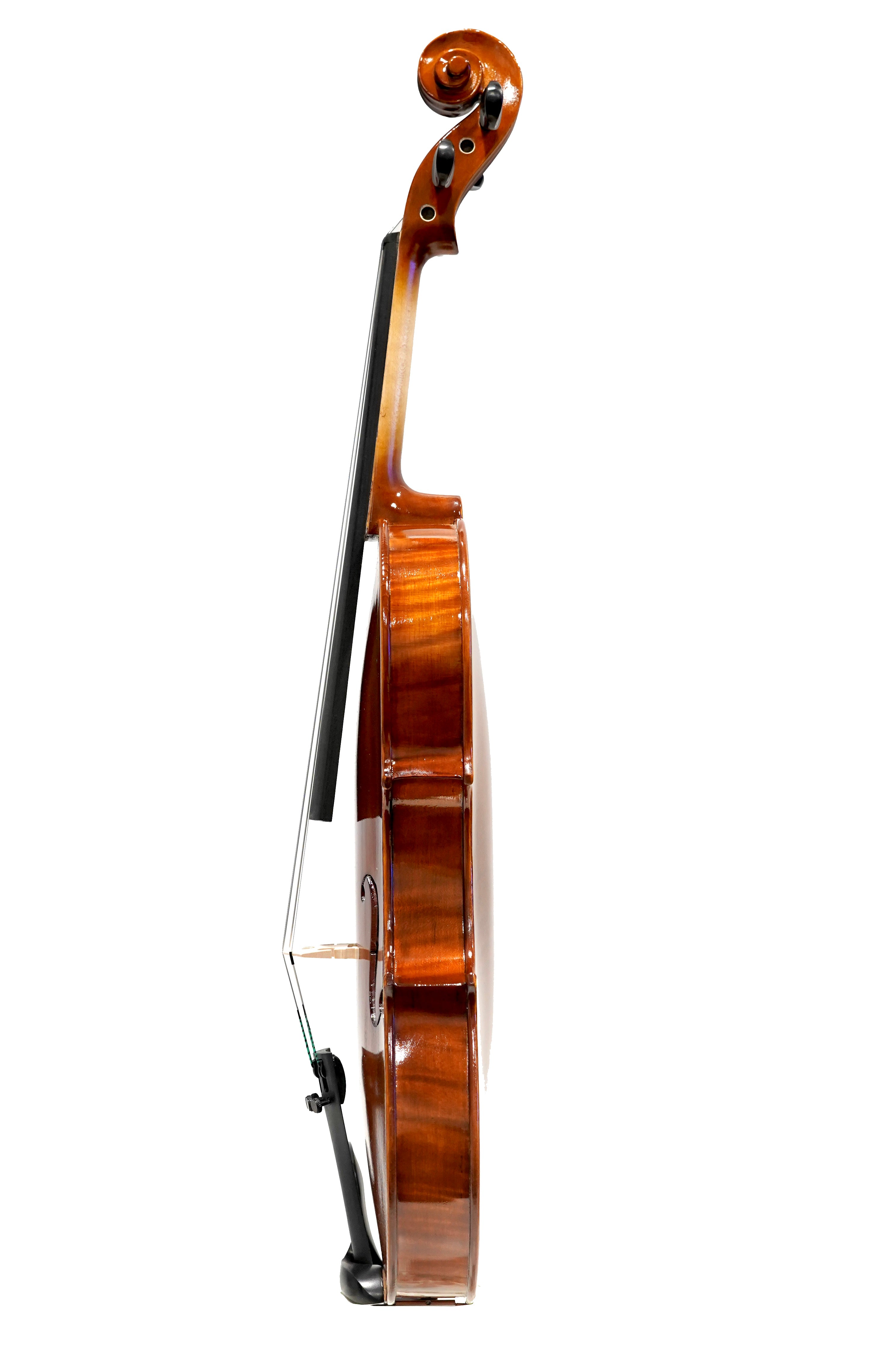 Western Australia's #1 Orchestral String Instruments & Repair Shop