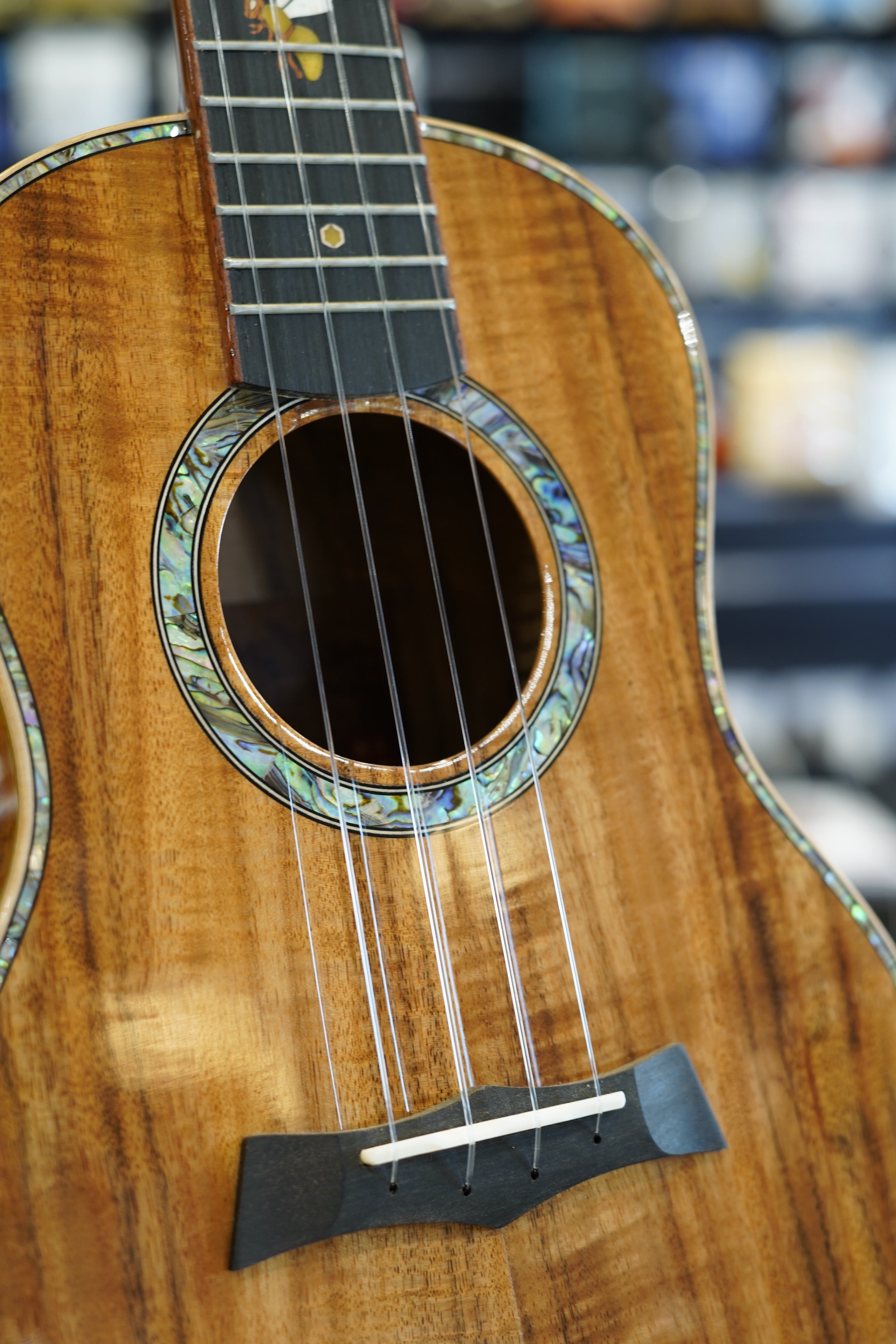 Snail Tenor N1 "Little Bee" Custom Solid Acacia Ukulele with Pickup