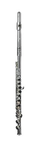 Di Zhao DZ 100 Series Flute