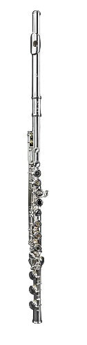 Di Zhao DZ 401 Series Flute
