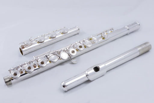 Di Zhao DZ 401 Series Flute
