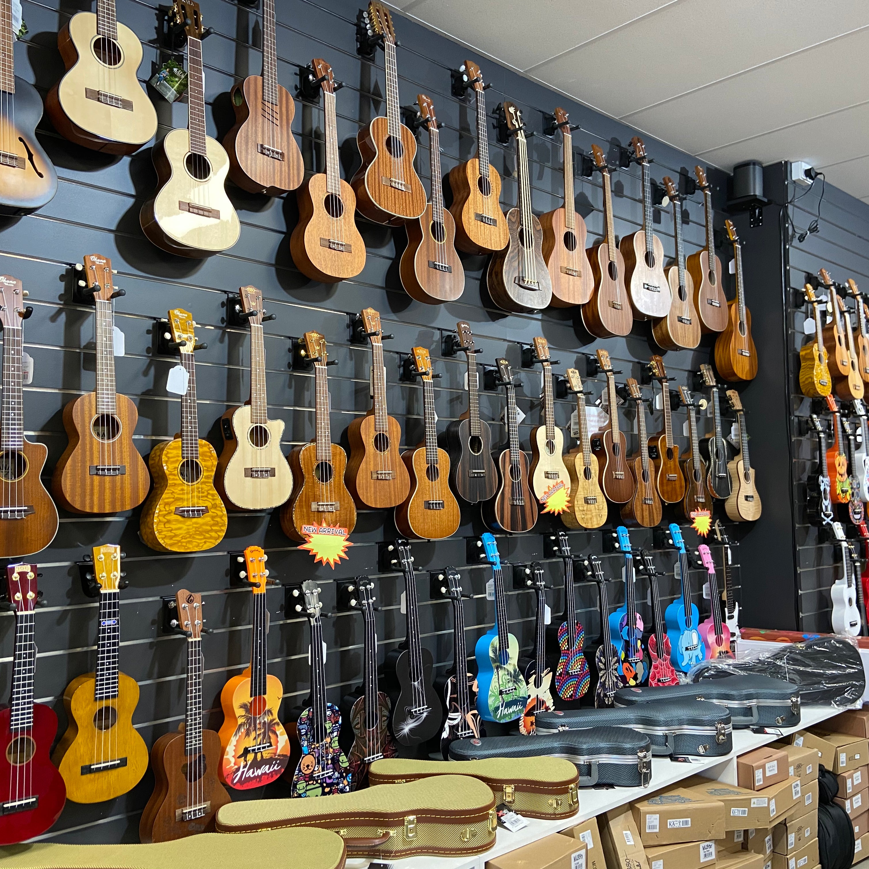 Crescendo Music - Perth Musical Instruments Store — Crescendo Music ...