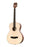 Kala Solid Spruce Top Pau Ferro Tenor Guitar