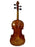 Raggetti Master No 6 Violin 4/4 Paganini Cannone