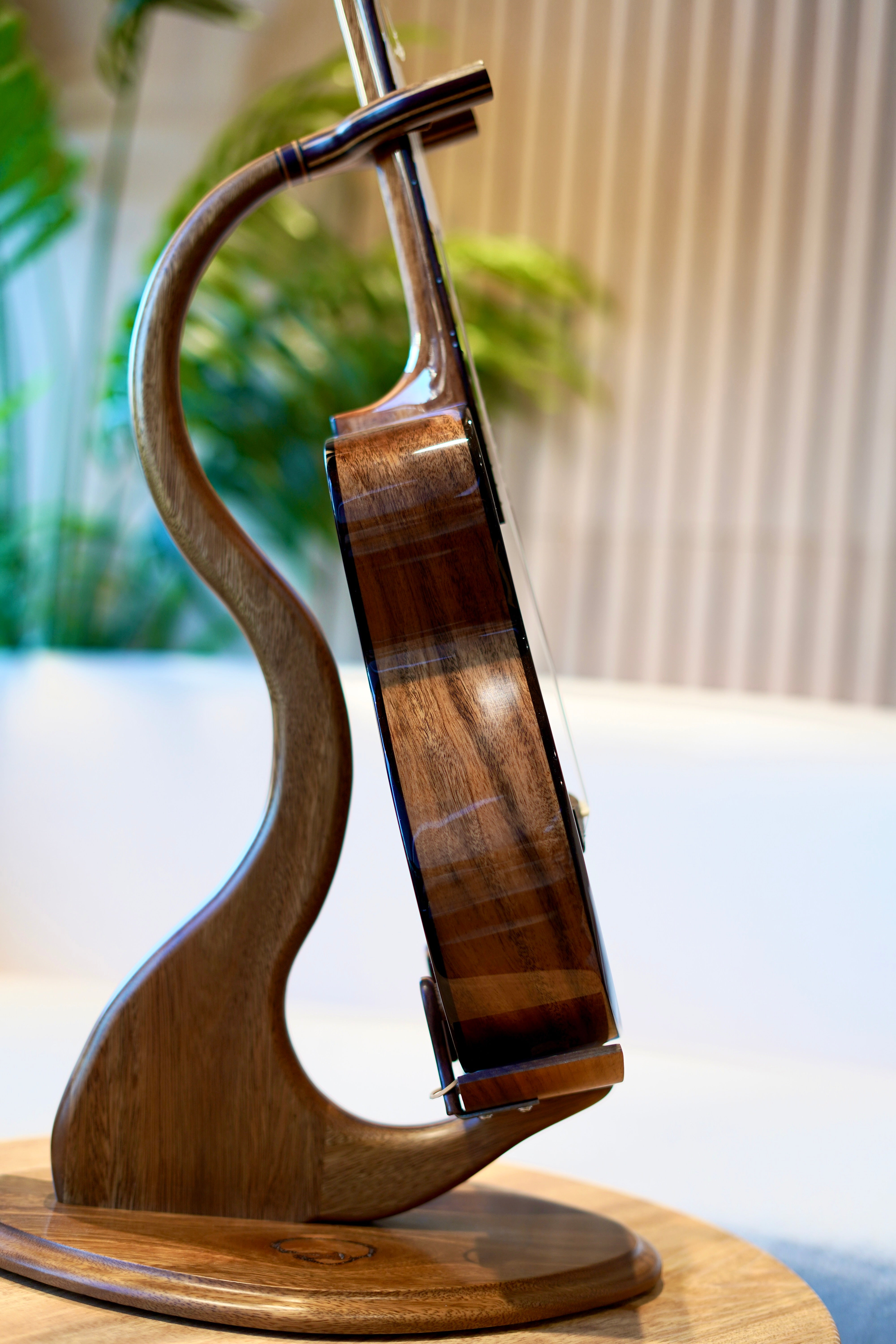 ORION Tenor Ukulele 'Bellatrix' Solid Acacia