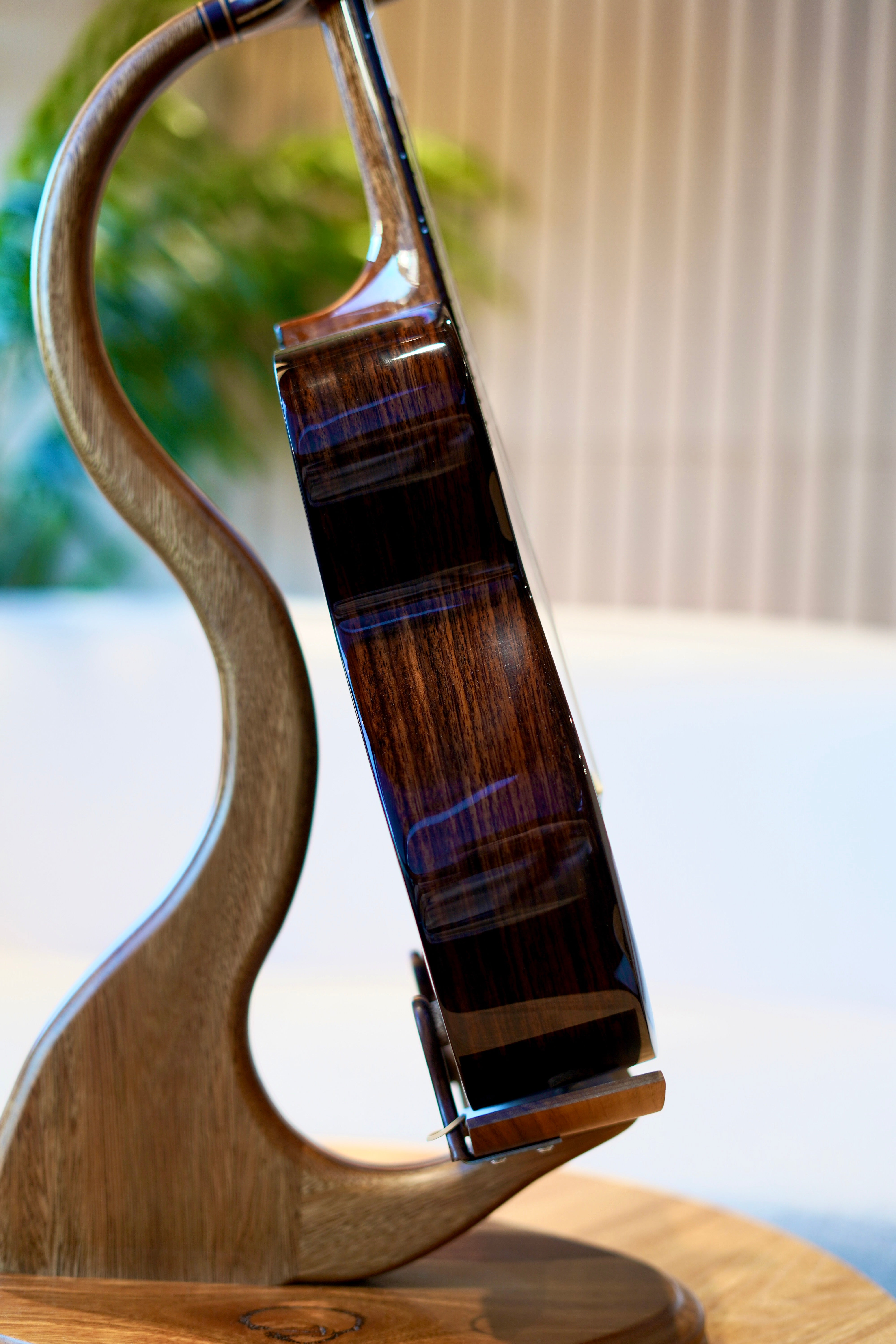 ORION Tenor Ukulele 'Betelgeuse' Solid Cedar & Rosewood