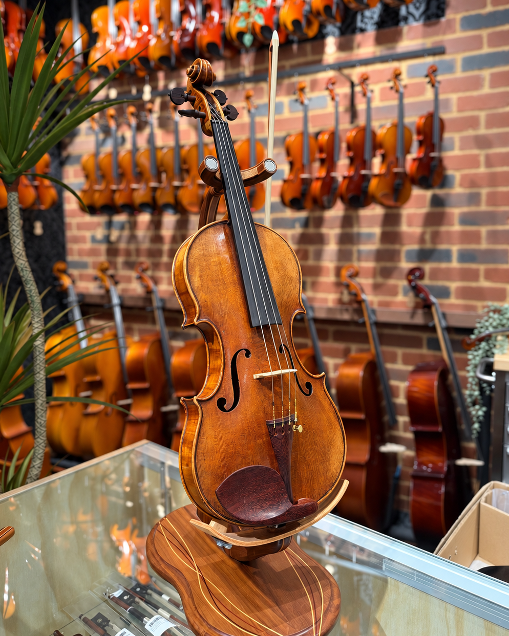 Petrus Guarnerius Copy Circa 1950 4/4 Violin