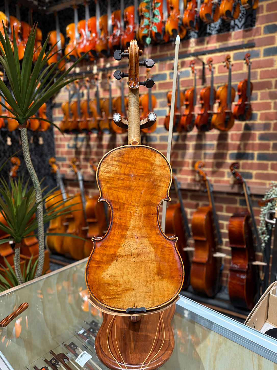 Petrus Guarnerius Copy Circa 1950 4/4 Violin