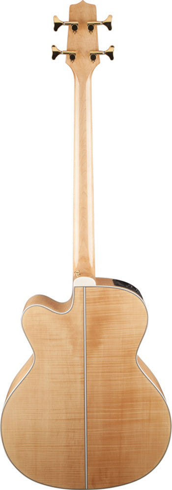 Takamine GB72 Series AC/EL Bass Guitar Cutaway