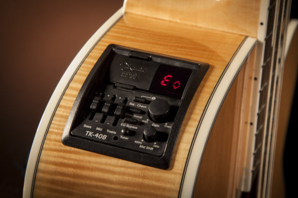 Takamine GB72 Series Bass Guitar Cutaway Pickup