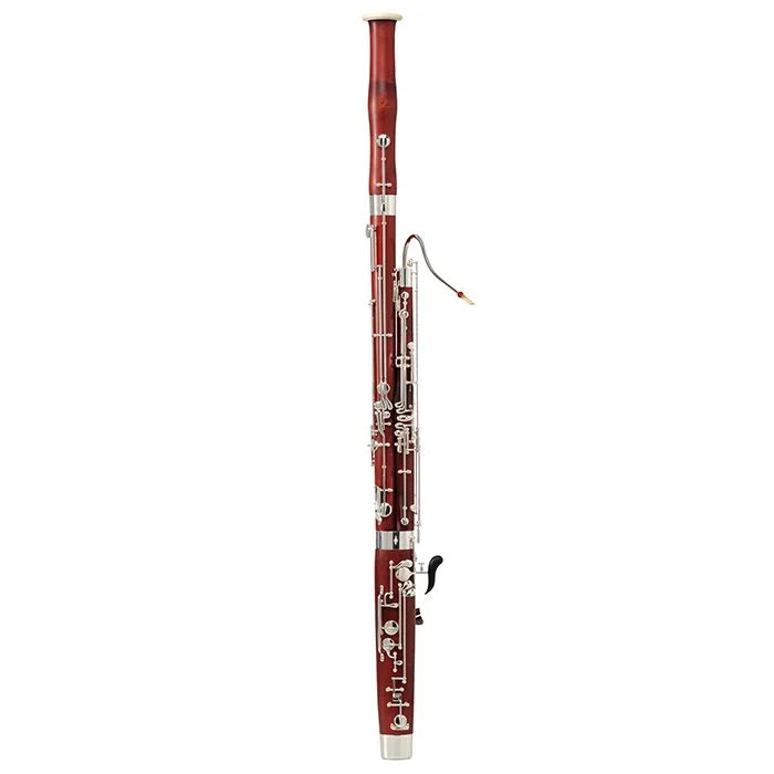 Schreiber Bassoon S16 Alpine Maple