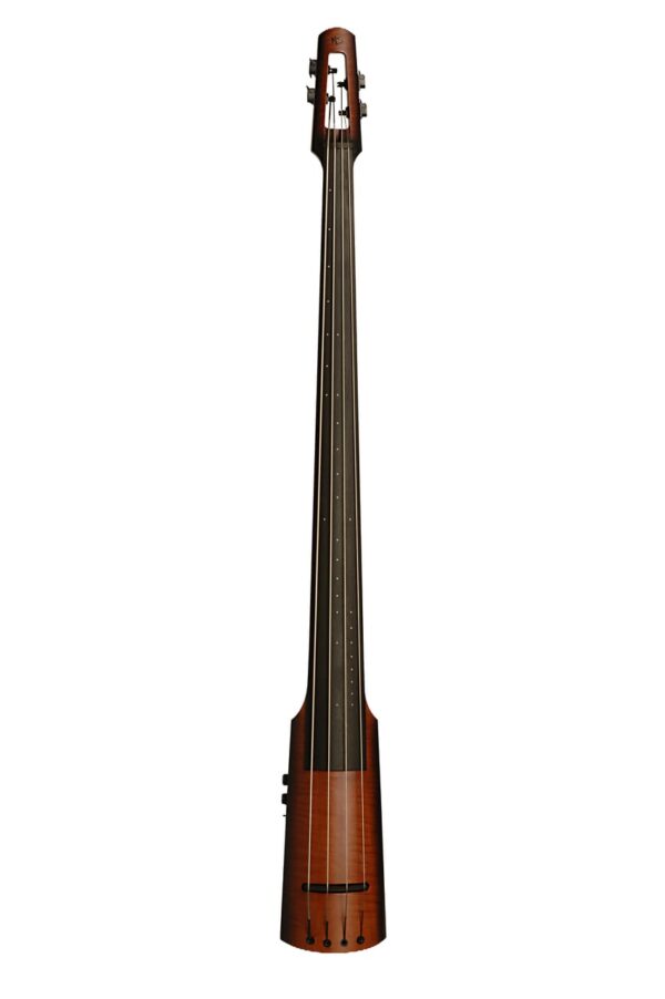NS Design NXT4a Double Bass 4 String (2 Colours)