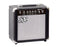 SX Beginner 15 Watt Portable Bass Amp