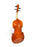 Akord Kvint ARS Model No 24 Violin Outfit (4 sizes)
