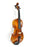 Harold Lorenz No 2 by Akord Kvint Violin Outfit (4 sizes)