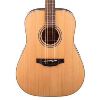 Takamine G20 Acoustic Guitar Pickup