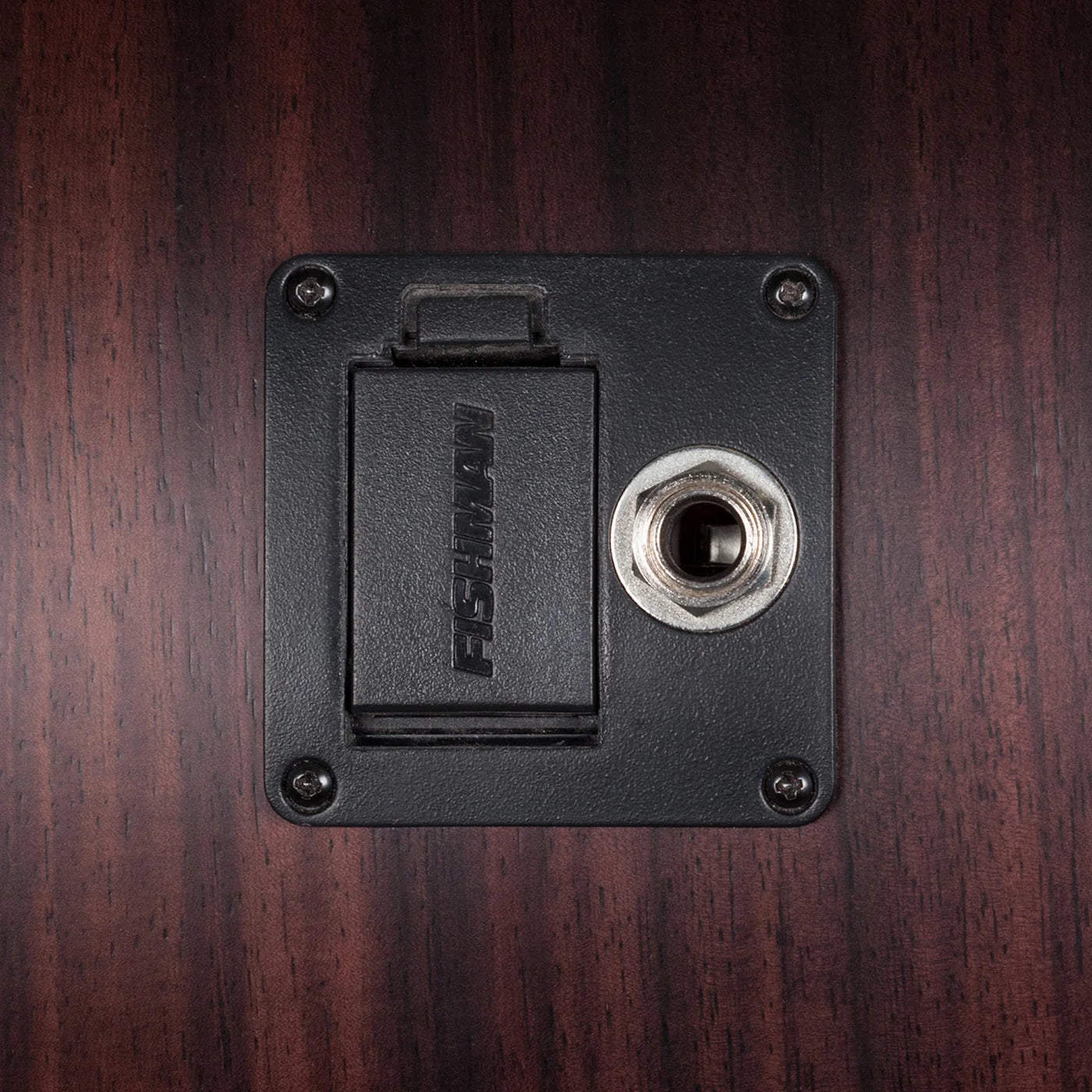 Martinez Timberidge '3 Series' Solid Spruce Top Dreadnought Pickup 'Tree of Life'