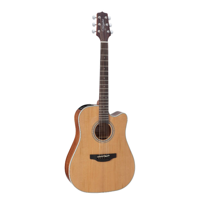 Takamine G20 Acoustic Guitar Pickup