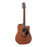 Takamine G11 Acoustic Guitar Pickup