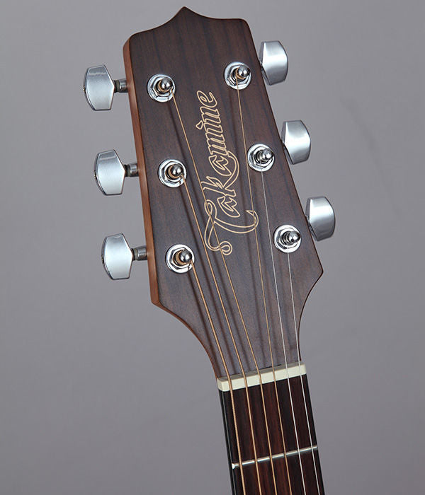 Takamine G11 Acoustic Guitar Pickup