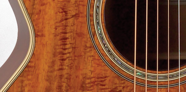 Takamine Legacy Series NEX Acoustic Guitar Pickup - Koa