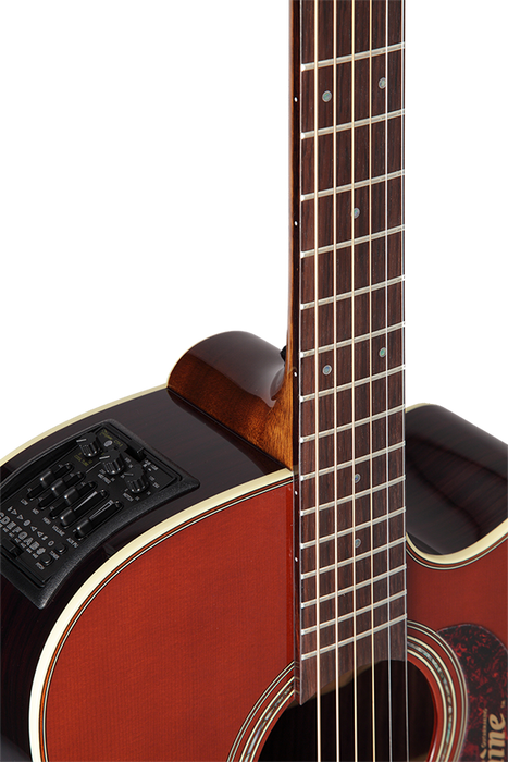 Takamine PRO 5 Acoustic Guitar Dreadnought Pickup