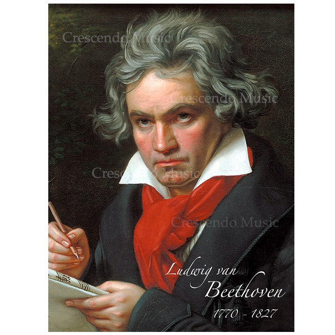 Ludwig van Beethoven Portrait w Gold Frame