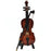 Mini Cello Model