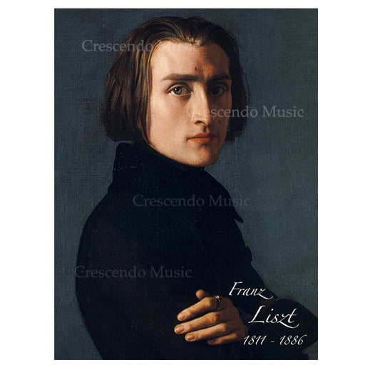 Franz Liszt Canvas Portrait w Gold Frame