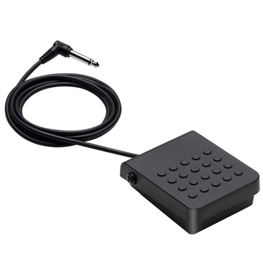 Casio Sustain Pedal