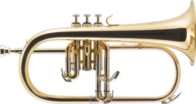 J.Michael Flugelhorn AFG500
