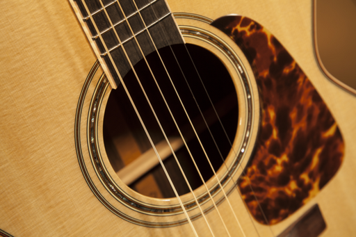 Takamine PRO 7 Acoustic Guitar NEX Pickup