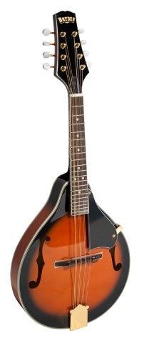 Bryden Arch Top Teardrop A Style Mandolin