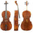 Klaus Clement C5 Cello 4/4