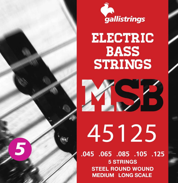 Galli Round Wound 5 String Electric Bass Set