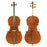 Francois Jacquot #100T Cello 4/4