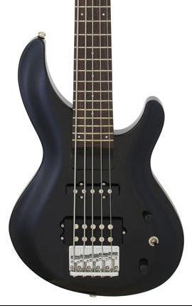 Aria IGB Series 5-String Electric Bass Guitar in Metallic Black