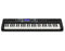 Casio CTS500 61 Keys Keyboard